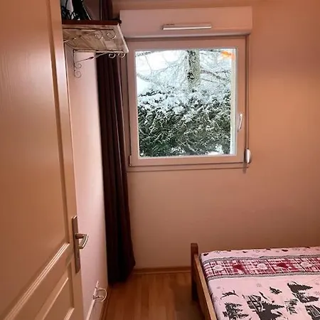 Le Petit Bonhomme De Neige Διαμέρισμα Gérardmer