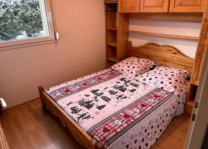 Le Petit Bonhomme De Neige Apartmán Gérardmer